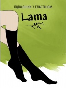LAMA 40d